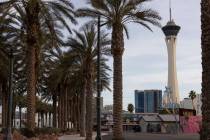 The Las Vegas high temperature is expected to be about 56 on Friday, Jan. 1, 2021, according to ...