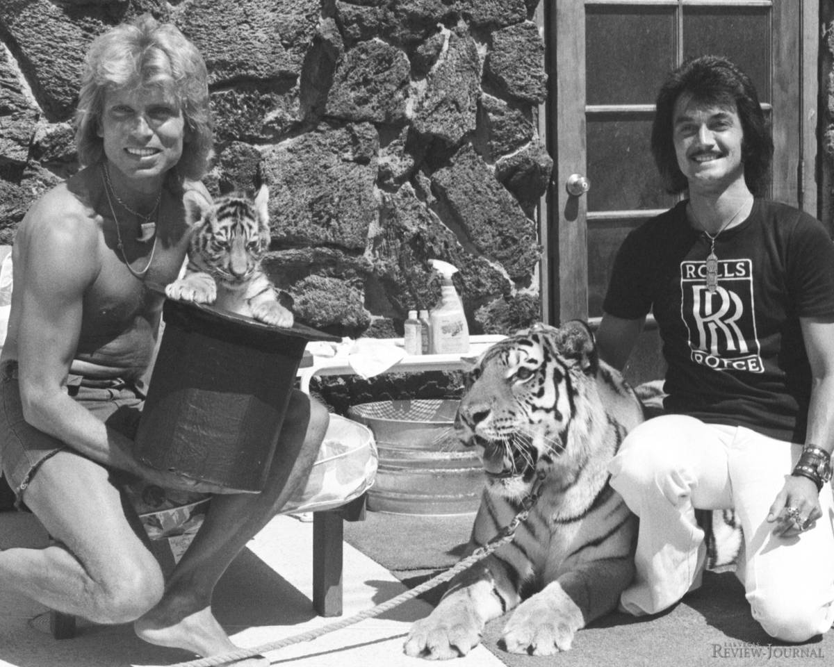 In this 1976 file photo, the three weeks old tigar Magic makes a public debut with Siegfried Fi ...