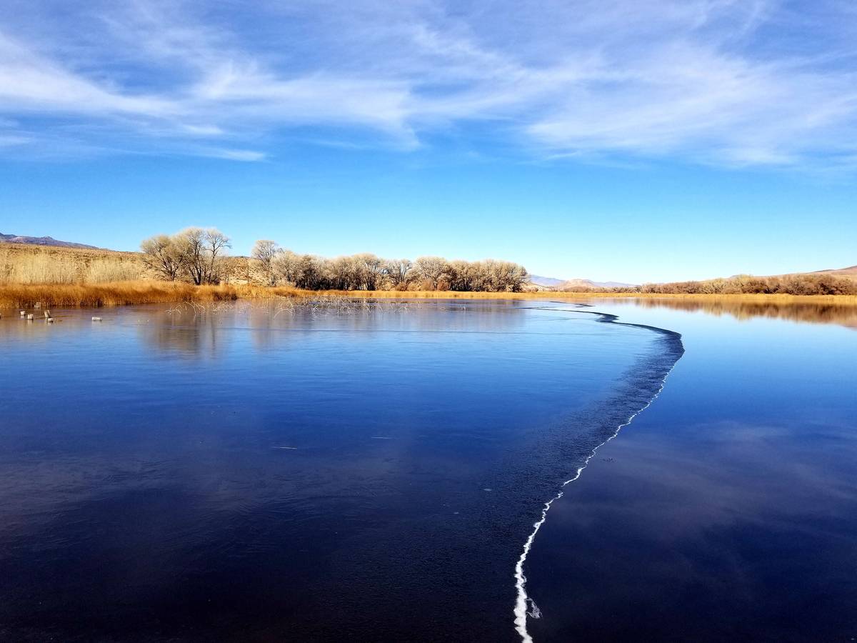 Ice covers shallower waters at Upper Pahranagat Lake on a recent winter day. (Natalie Burt Las ...