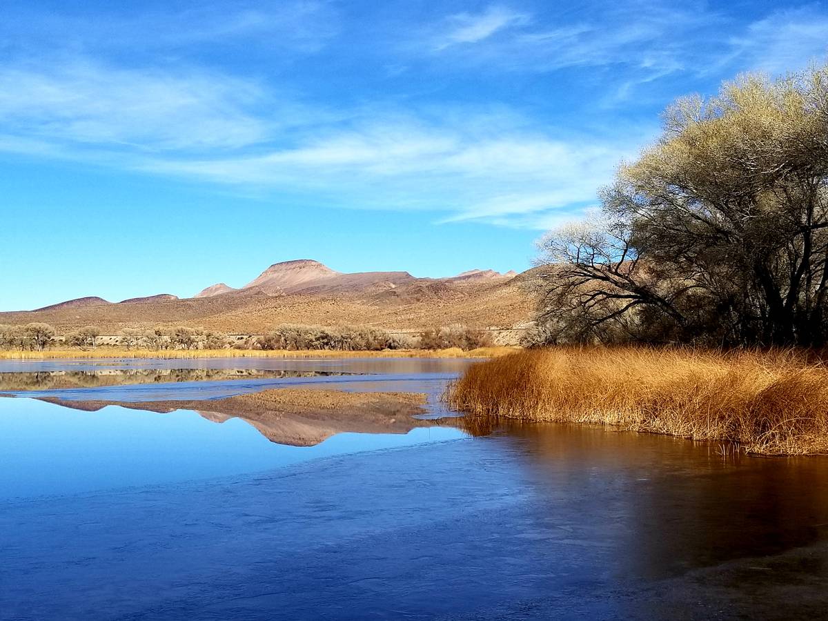 With its waters still on a recent winter day, Upper Pahranagat Lake offers remarkable reflectio ...