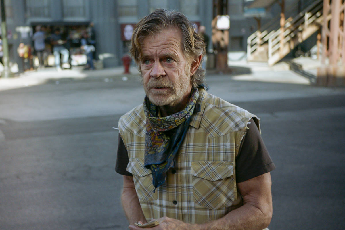 Films Et Séries Tv Avec William H. Macy ‘This Is Us’ delay just the latest way pandemic is disrupting TV | Las