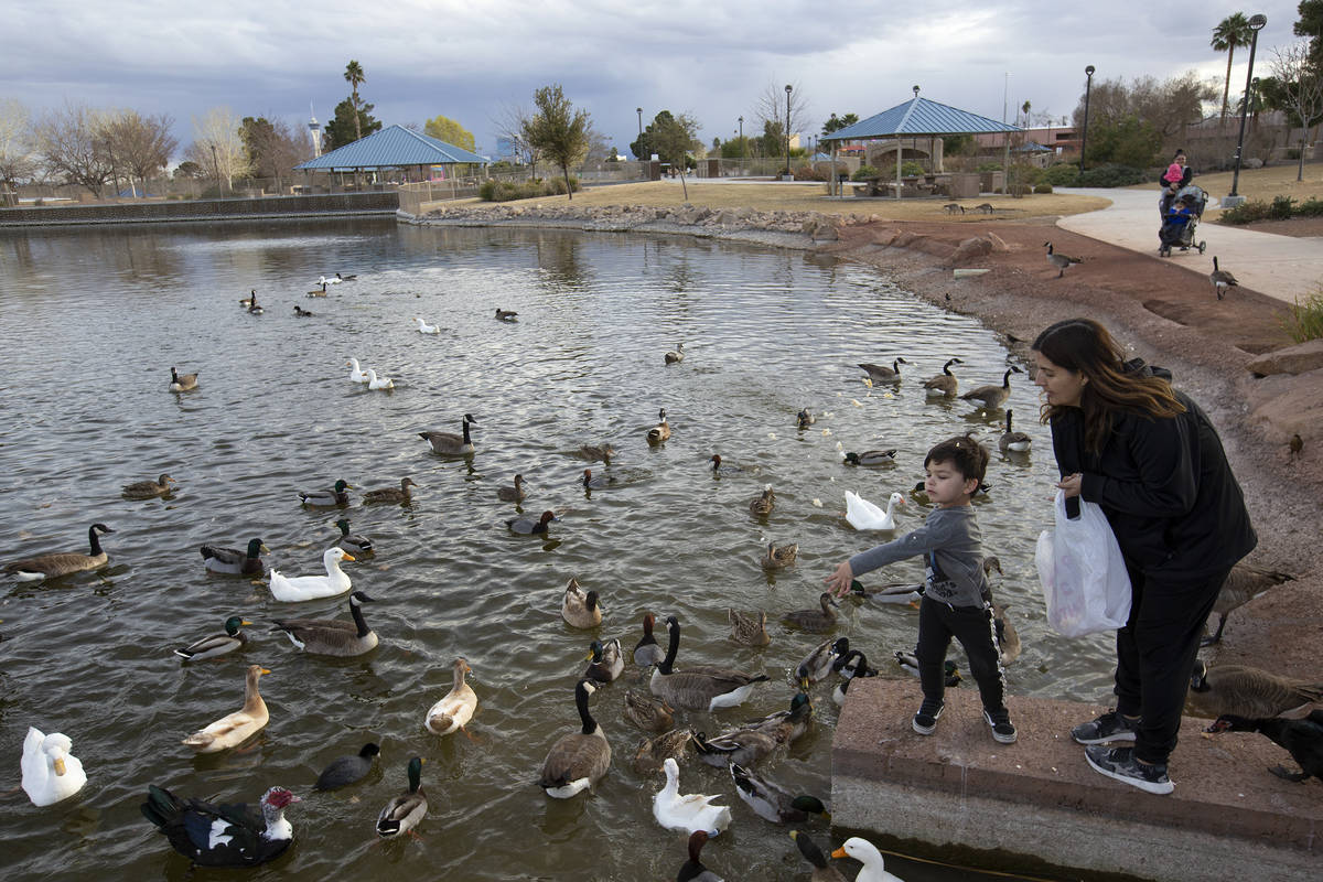 Las Vegas snow may be on horizon; Henderson sees 2 days of rain | Las