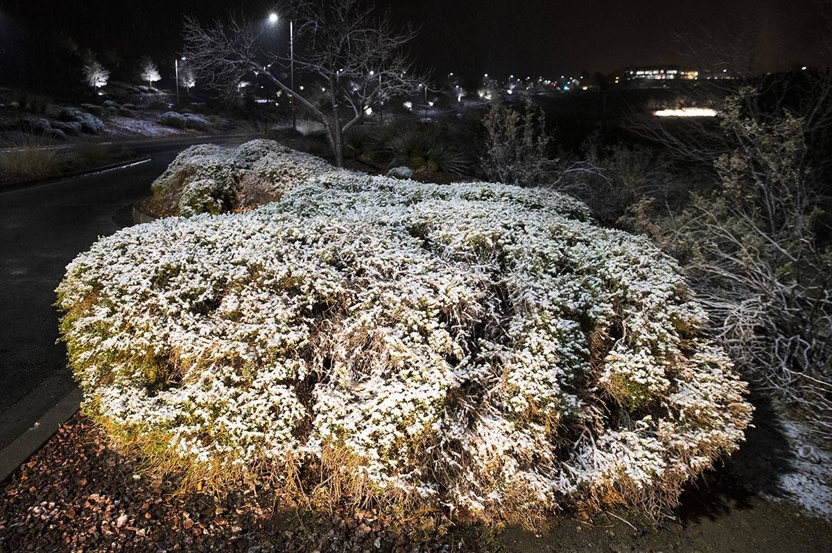The chilly cold and snow of winter came early Tuesday, Jan. 26, 2021, in Henderson. (Bizuayehu ...
