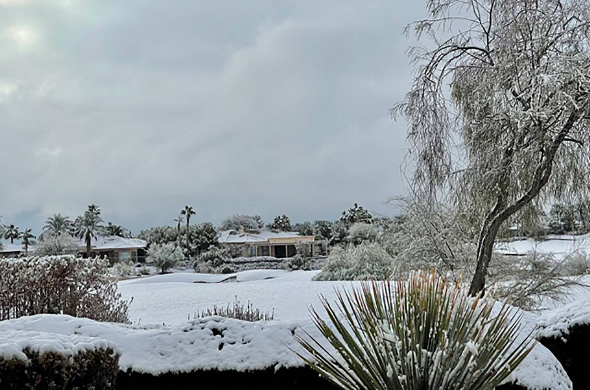Snow covers the foliage at the Siena subdivision in Summerlin on Tuesday, Jan. 26, 2021. (John ...
