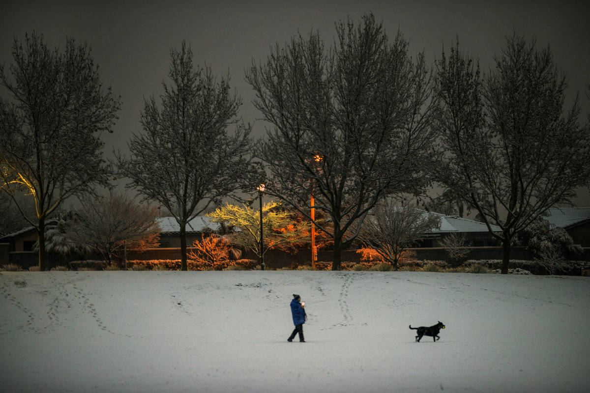 A person walks their dog as snow flurries come down in Summerlin near Gardens Park on Tuesday, ...