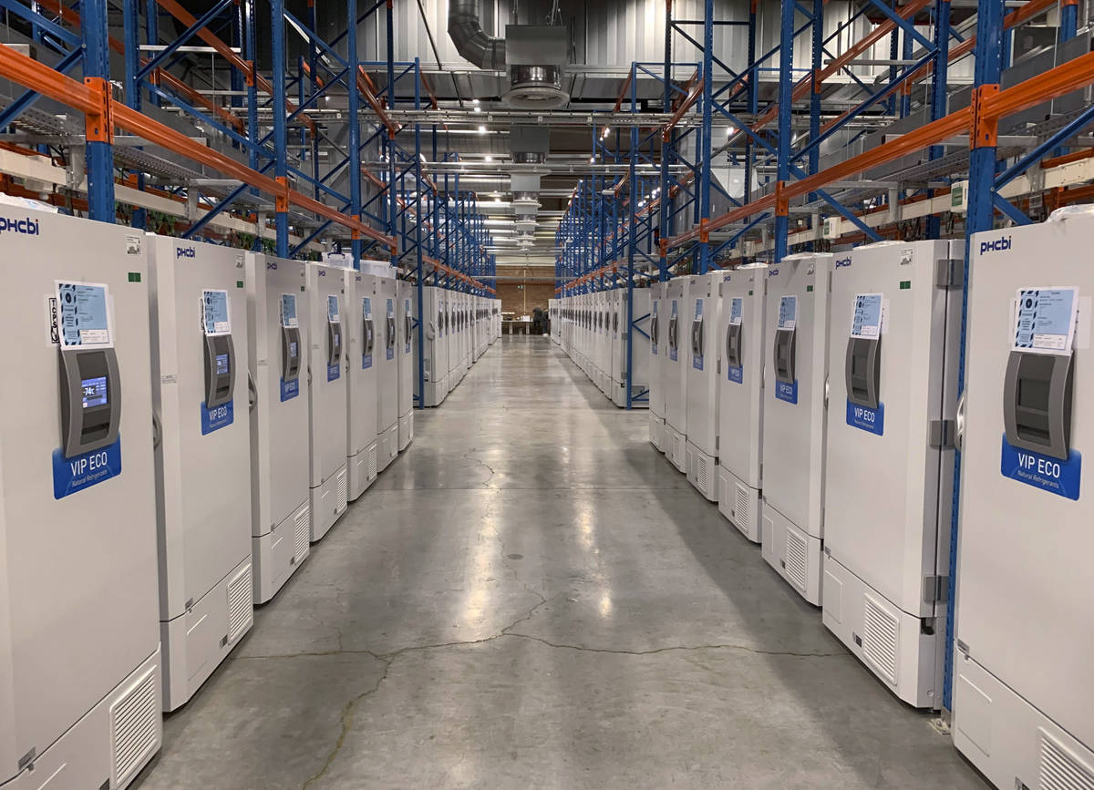 FILE - This October 2020 photo provided by Pfizer shows part of a "freezer farm," a f ...
