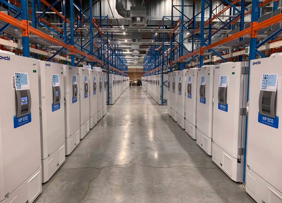 FILE - This October 2020 photo provided by Pfizer shows part of a "freezer farm," a f ...