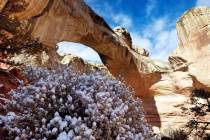 Hickman Arch is seen at Capitol Reef National Park near Torrey, Utah. (Danny Chan La/The Salt L ...