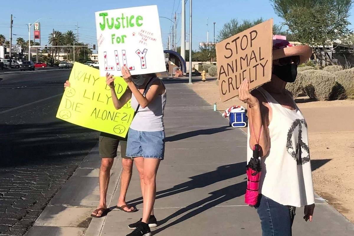 Protesters gathered in front of North Las Vegas City Hall in early September 2020 to ask for fe ...