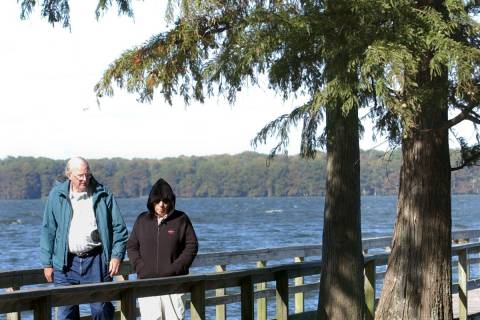 Homer and Elaine Tackett, of Monroe, Wis., look at some of the Cypress trees that grow at Reelf ...