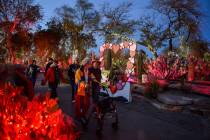 Couples walk together through Ethel M's Cactus Garden in Henderson, Tuesday, Feb. 12, 2019. Car ...