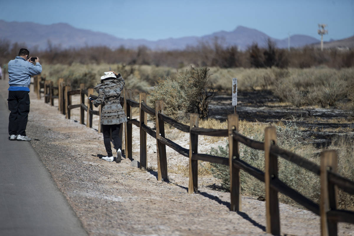 Fire at Clark County Wetlands Park contained after burning 45 acres Las Vegas Review-Journal image image picture