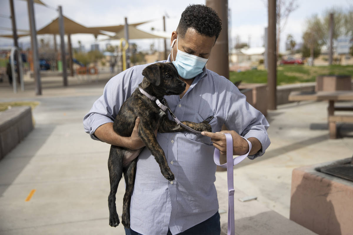 Ronald Pipkins, who was the first presumptive positive case of COVID-19 in Nevada, walks his do ...