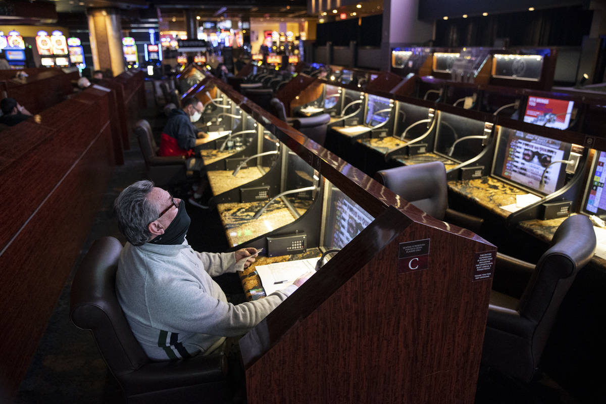 Bruce Kauffman of St. Petersburg, Fla., watches a horse race at the Westgate sportsbook in Las ...