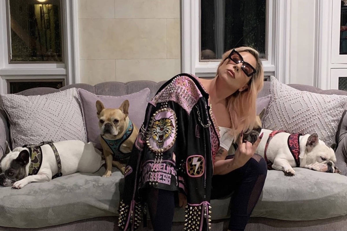Lady Gaga is shown with her three French bulldogs in an Instagram post on March 14, 2020. (@Lad ...
