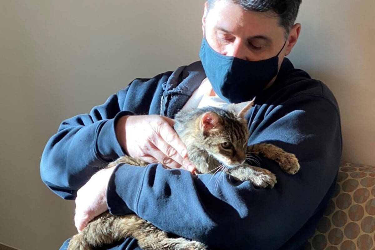 This photo provided by the Los Angeles County Department of Animal Care and Control shows Brand ...