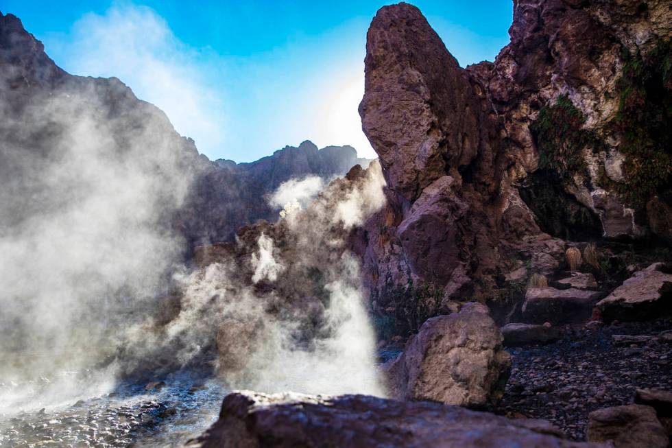 Steam rises from the scalding runoff of geothermal water from Gold Strike Canyon. (Rachel Aston ...