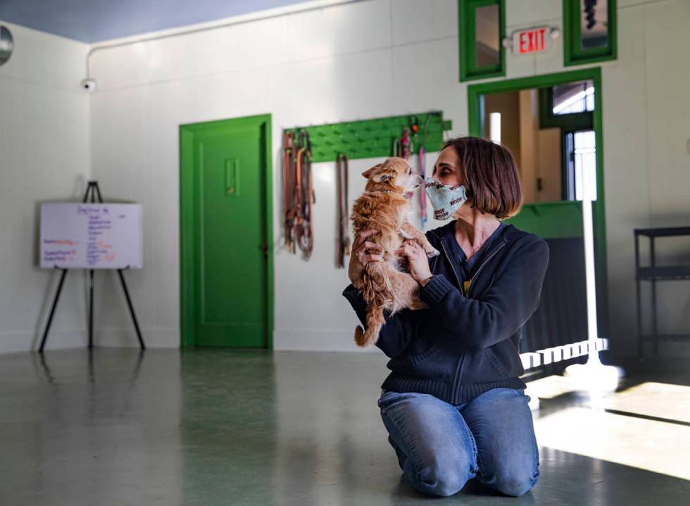 Cathy Brooks, owner of the Hydrant Club, a training facility and private social club for dogs, ...