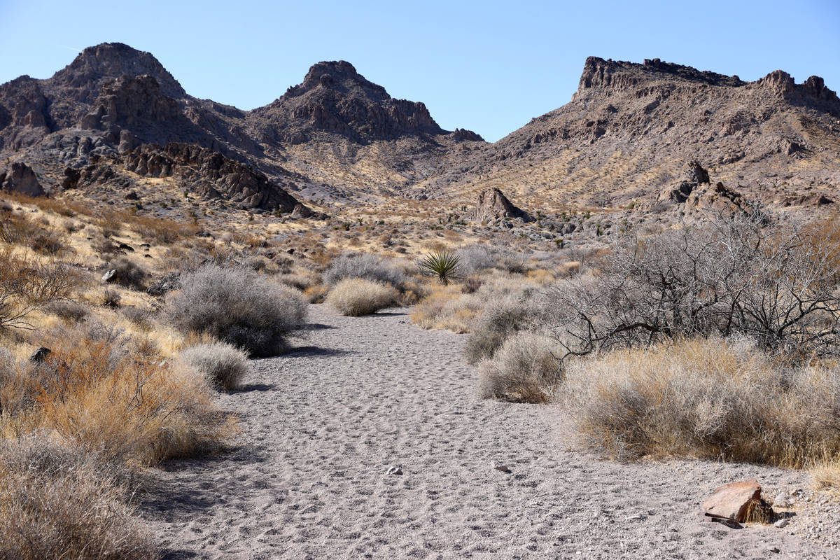 Sloan Canyon National Conservation Area Friday, Feb. 26, 2021. (K.M. Cannon/Las Vegas Review-Jo ...