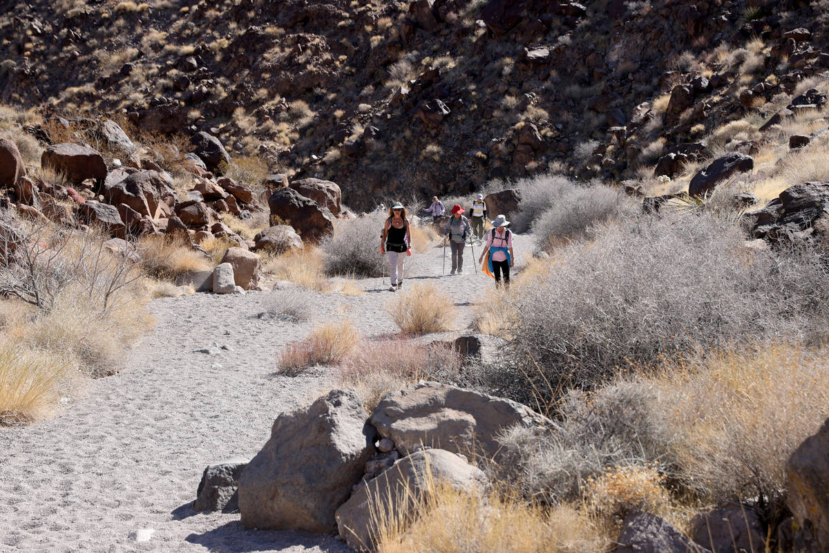 Hikers on the Petroglyph Trail in Sloan Canyon National Conservation Area Friday, Feb. 26, 2021 ...