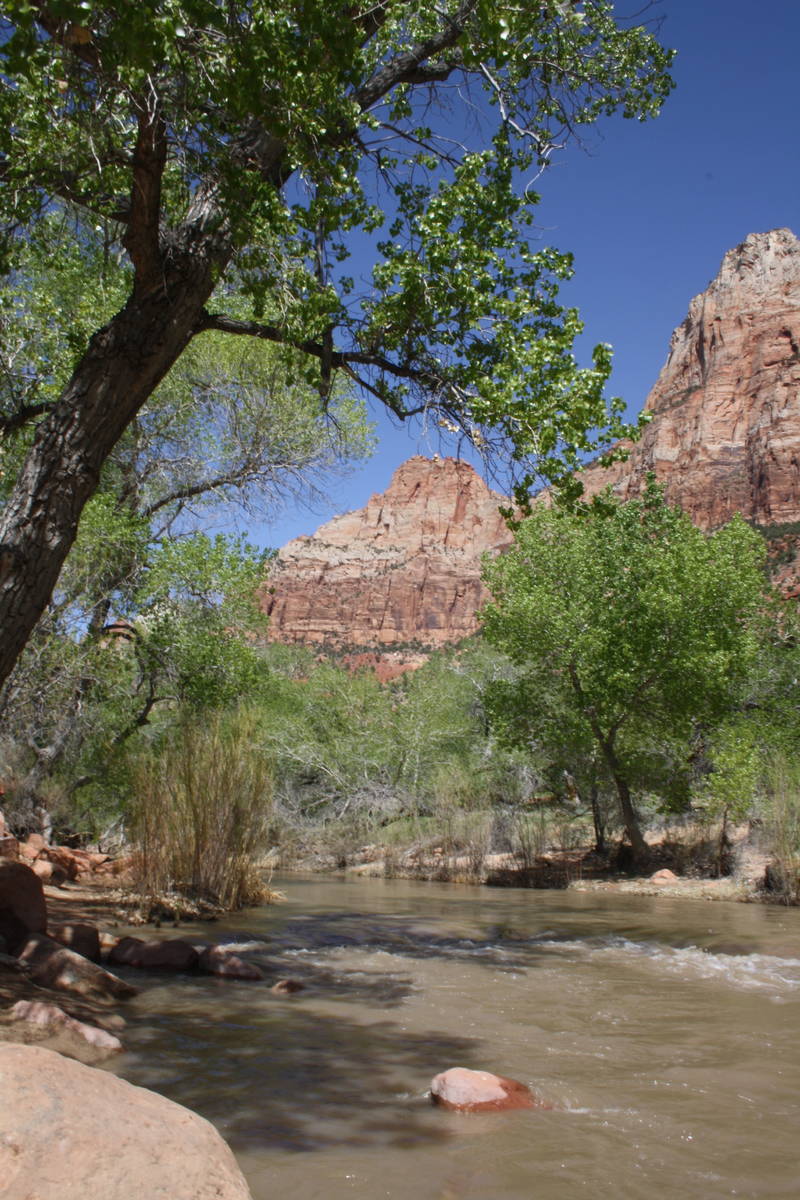 Thursday Treks are naturalist-led hikes that provide an introduction to the geology, flora, fau ...