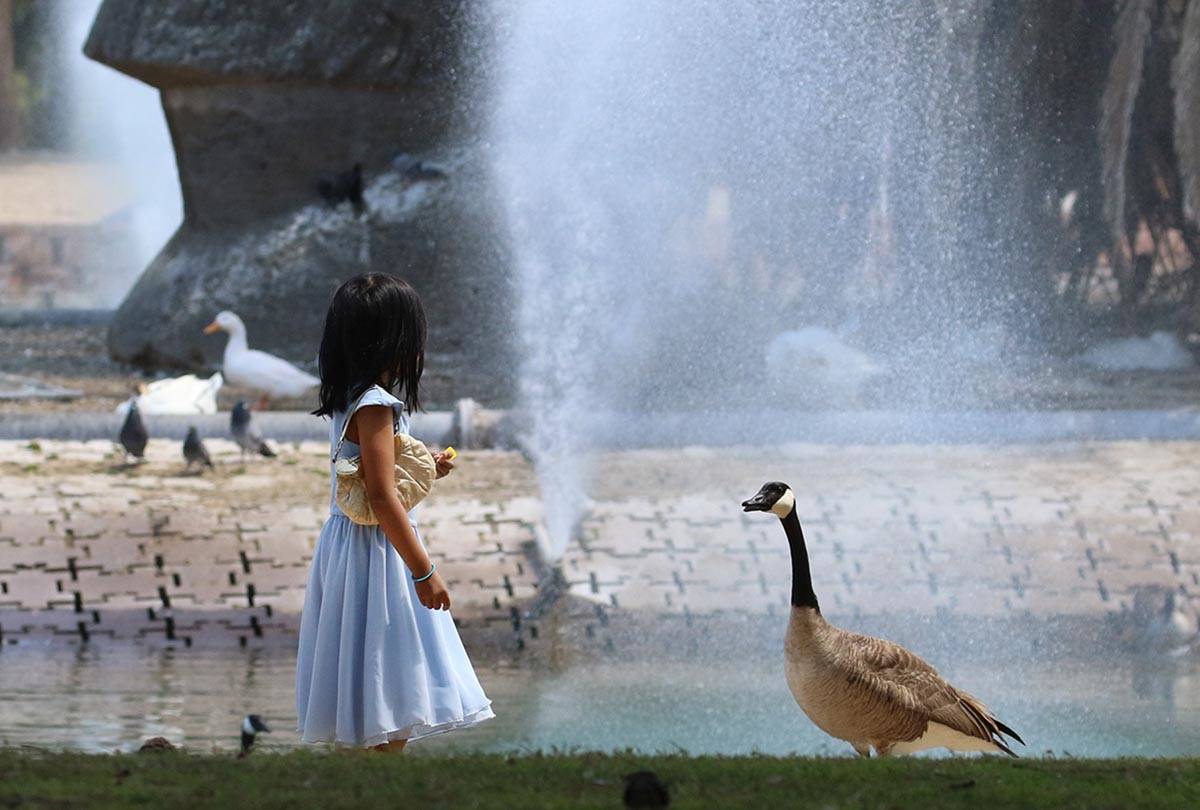 Sunny skies and a high of 74 are forecast for Las Vegas on Friday, March 5, 2021, according to ...