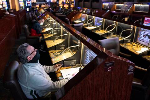 Bruce Kauffman of St. Petersburg, Fla., watches a horse race at the Westgate sportsbook in Las ...