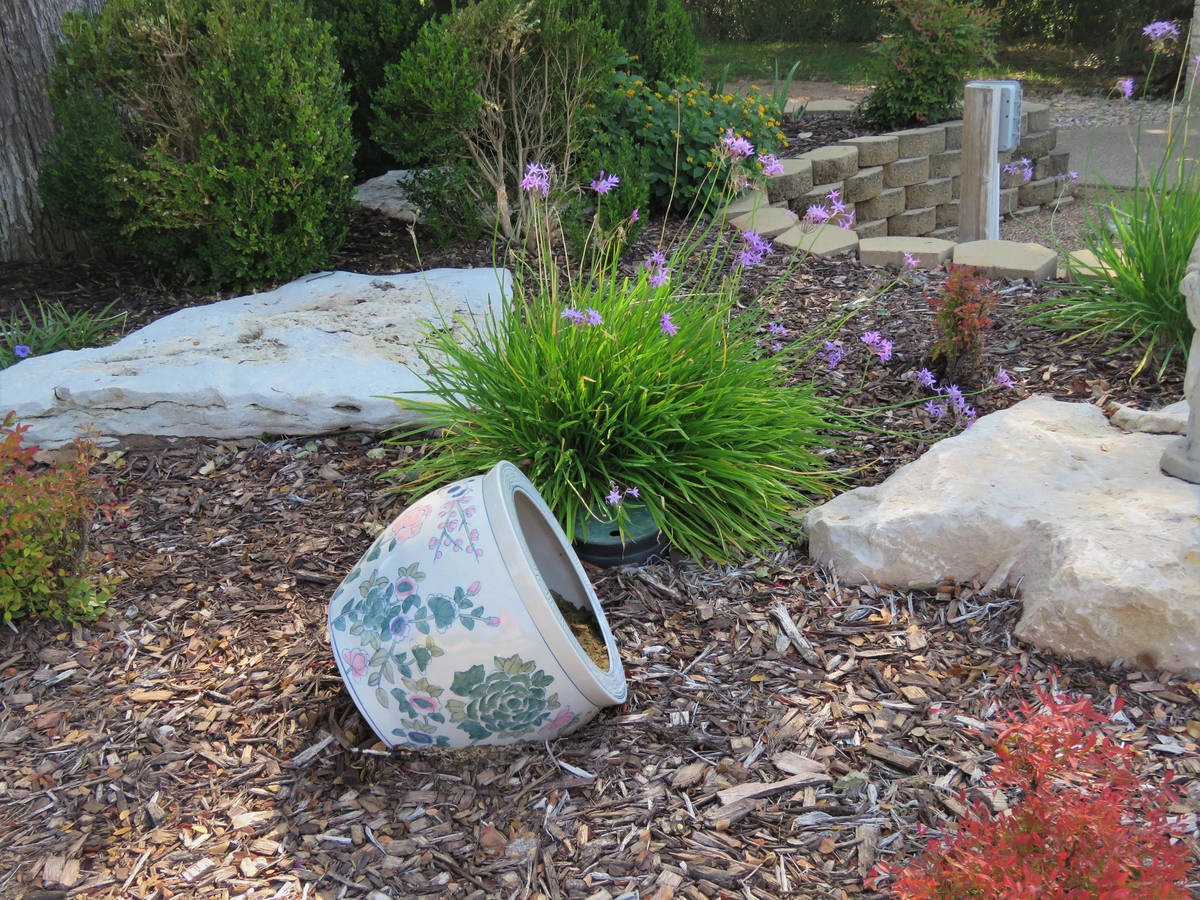 Rocks, mulch, shrubs and social garlic are part of this xeriscape landscape. (Getty Images)