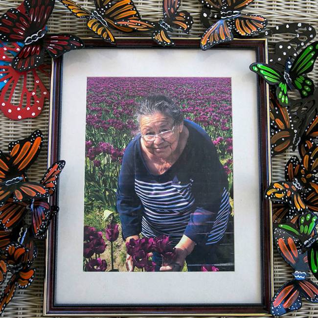 A photograph of Maria Urrabazo is displayed with handmade butterflies at her son's North Las Ve ...