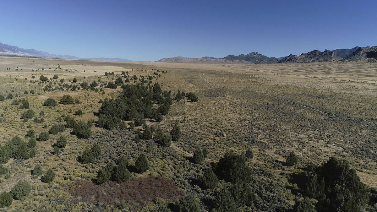FILE - In this undated file photo is the Swamp Cedar Natural Area, a tribal site known as the s ...