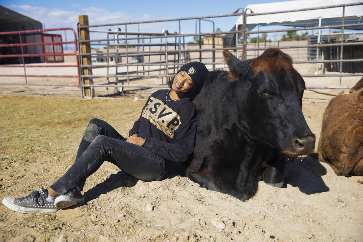 Volunteer Val Worthen hangs out with Holly, a rescued cow, at All Friends Animal Sanctuary in L ...