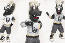 The Henderson Silver Knights' new mascot, Lucky. (@HSKLucky7)