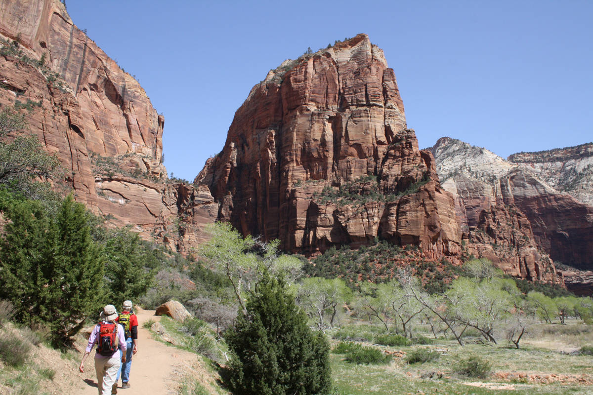 Hiking to the top of Angels Landing in Zion National Park brings genuine adventure. (Las Vegas ...