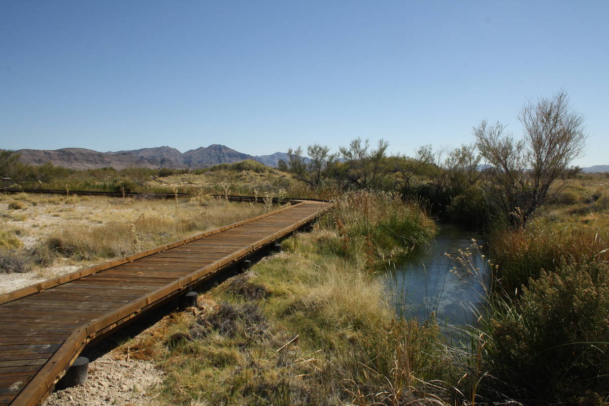 The boardwalk along the Crystal Spring Trail keeps visitors off the wetlands. (Deborah Wall)