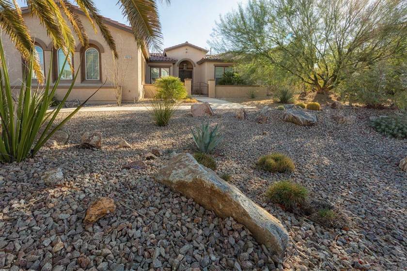 Las Vegas Couple Trades Green Grass For Green Cash With SNWA s Water 