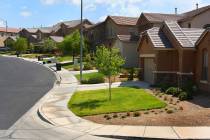 Grass lawns are shown in the front yards of homes in the Anthem master-planned community in Hen ...