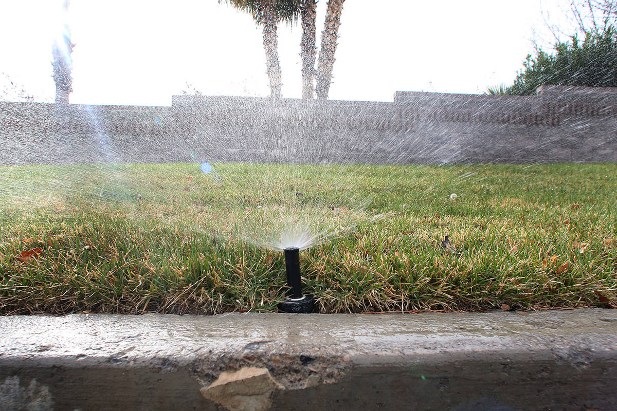 A sprinkler is on to water grass at Green Valley Parkway on Tuesday, March 5, 2019, in Henderso ...