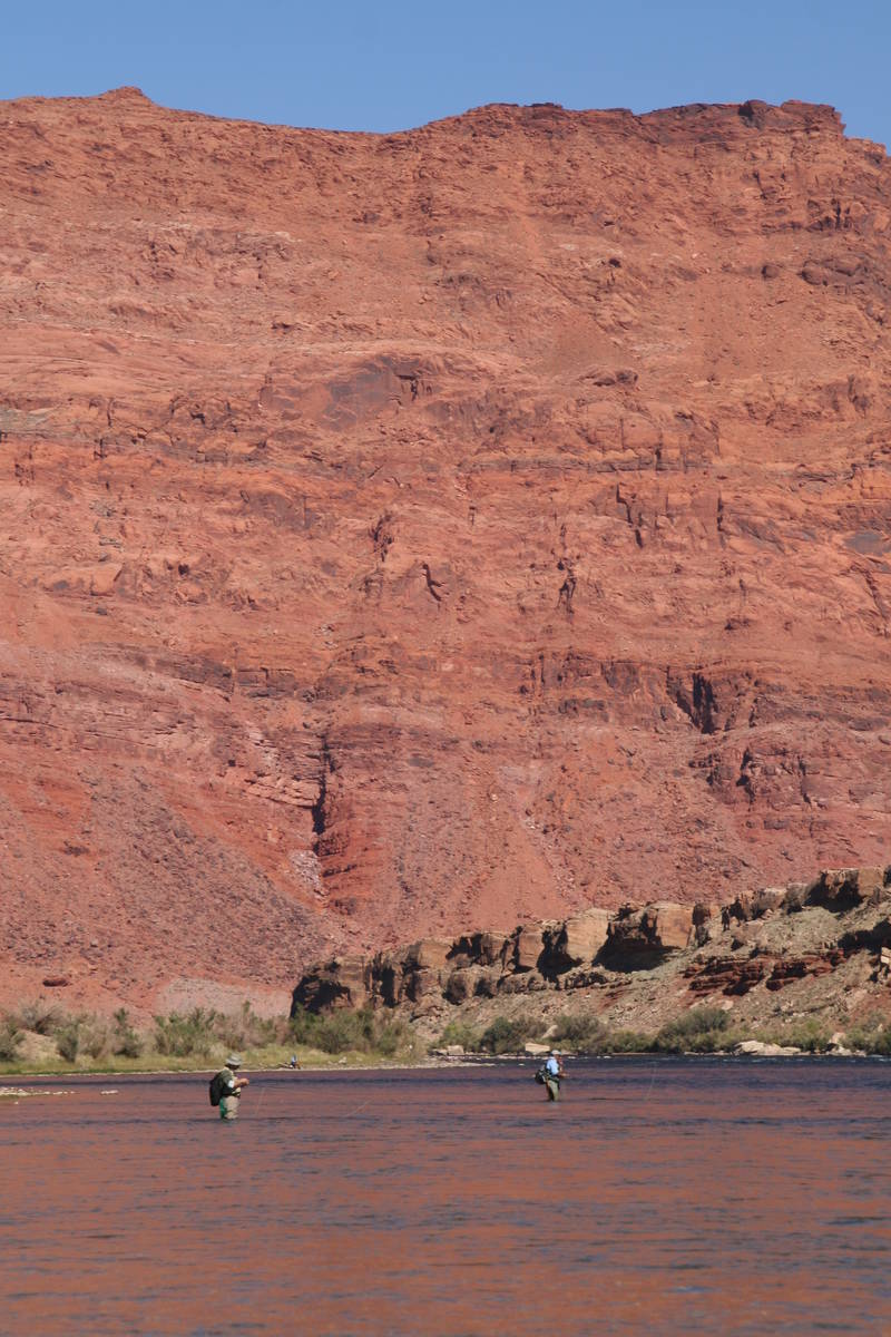 Fly-fishing is a popular activity at Lees Ferry, Arizona. (Deborah Wall Las Vegas Review-Journal)