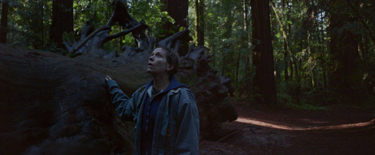 Frances McDormand portrays Fern, a widow who lives on the road in her van, in the film "Nomadla ...
