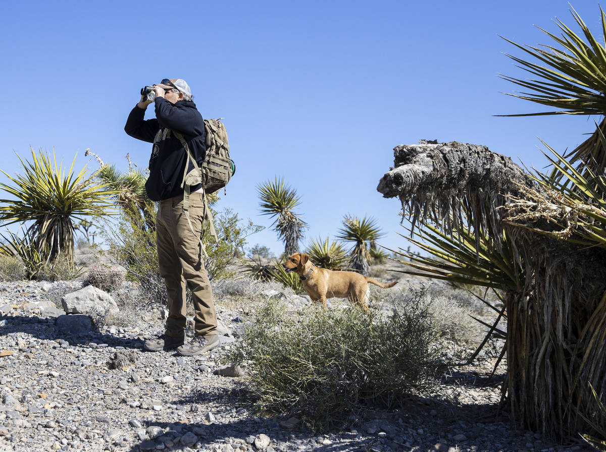 Bill Daniels uses his binoculars to spot stray balloons as his dog, Ruby, accompanies him on Sa ...