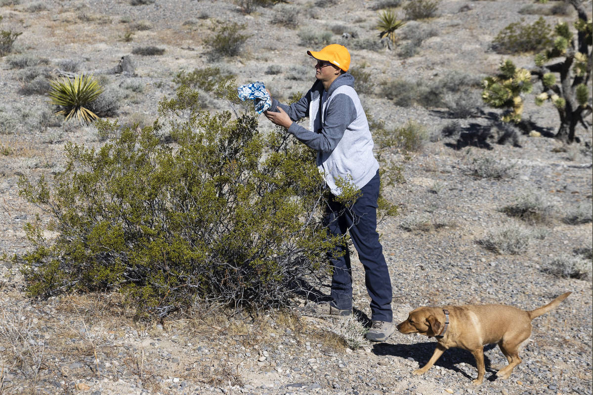 Christian Daniels, 15, retrieves stray balloons from the desert with his dog, Ruby, on Saturday ...