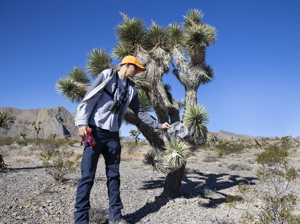 Christian Daniels, 15, retrieves stray balloons on Saturday, April 17, 2021, in Las Vegas. Chri ...