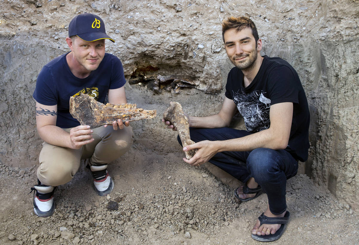 Matt Perkins, left, and Josh Anghel found which may be horse bones in their back yard as a pool ...
