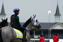 Kentucky Derby entrant Essential Quality waits to work out at Churchill Downs Thursday, April 2 ...