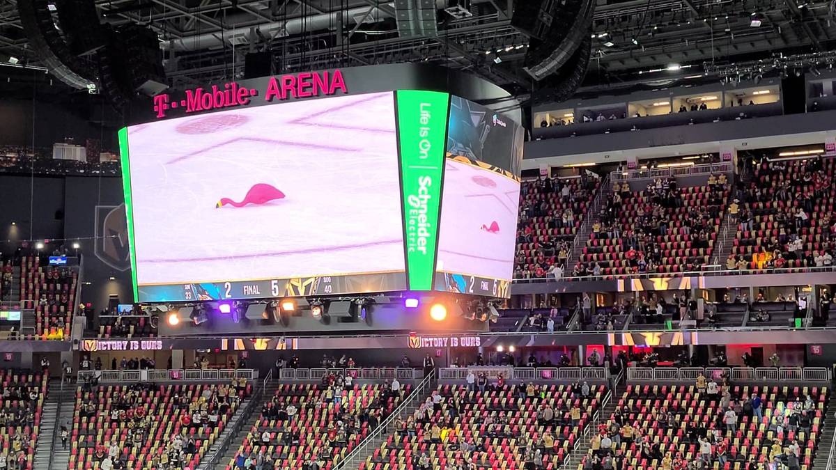 A Victory Flamingo captured on the big screen at a Golden Knights game. (Drew Johnson)