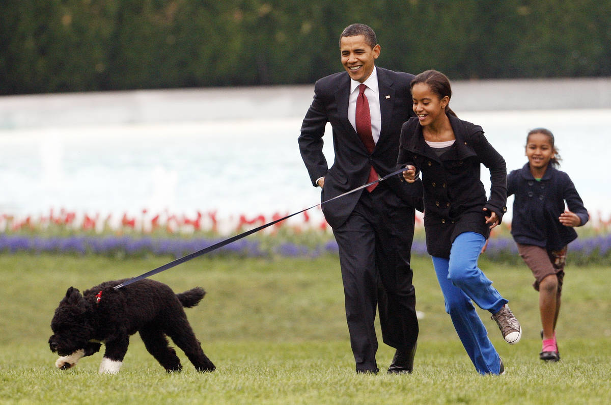FILE - Int his April 14, 2009, file photo Malia Obama runs with Bo, followed by President Barac ...