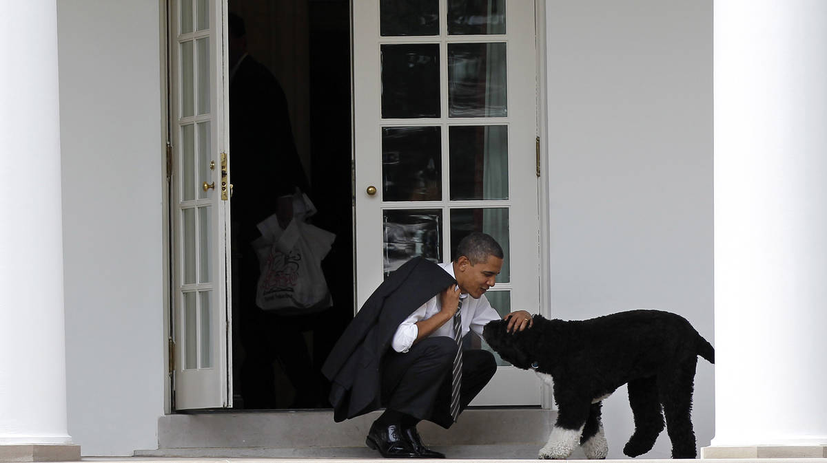 FILE - In this March 15, 2012 file photo, President Barack Obama pets the family dog Bo, a Port ...