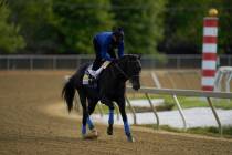 Exercise rider Humberto Gomez takes Kentucky Derby winner and Preakness entrant Medina Spirit o ...