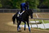 Exercise rider Humberto Gomez takes Kentucky Derby winner and Preakness entrant Medina Spirit o ...