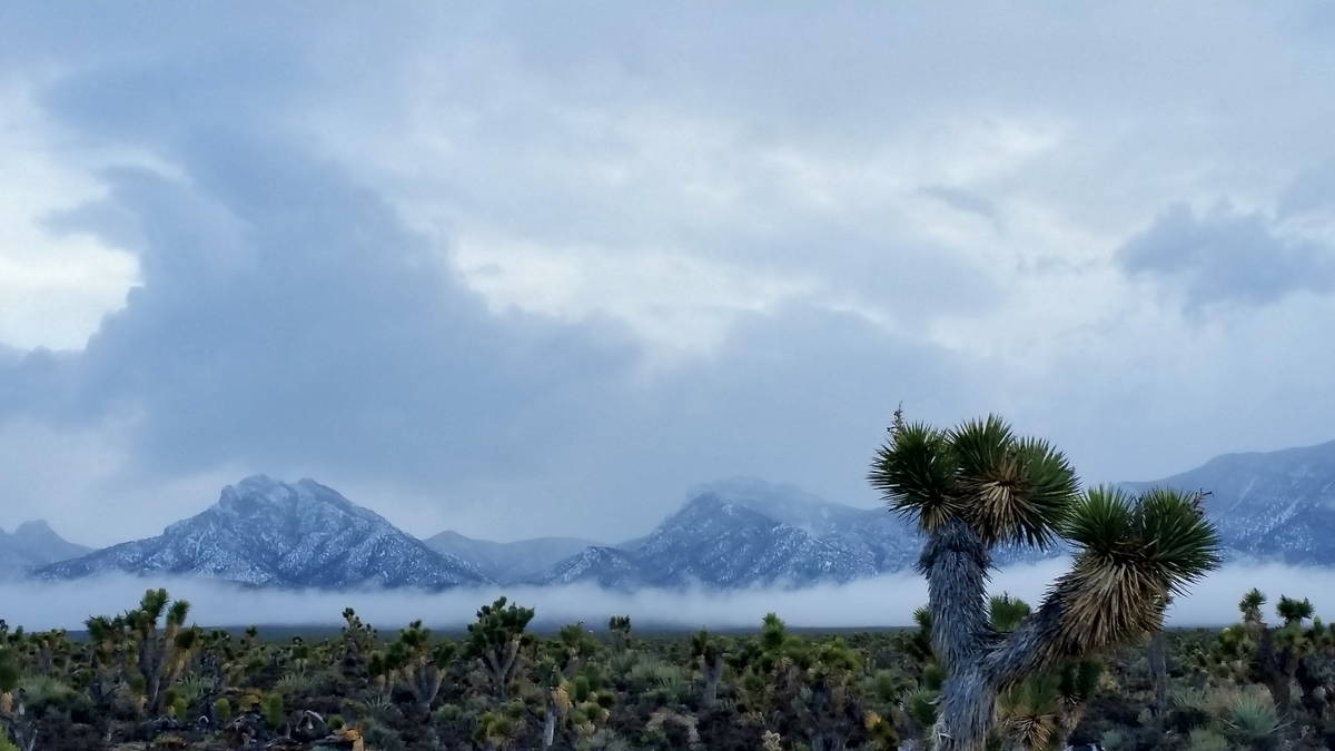 A late-afternoon winter view from 146 Blanda Circle at Cold Creek shows the Spring Mountains i ...